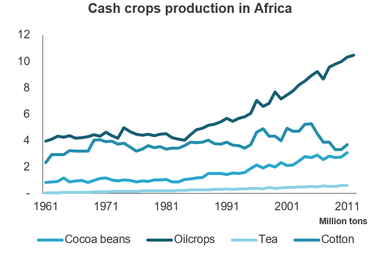 CASH CROPS