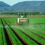 Ethiopia's economy