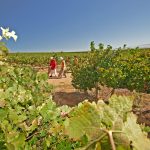 Land investments