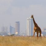 Entrepreneurship in Africa