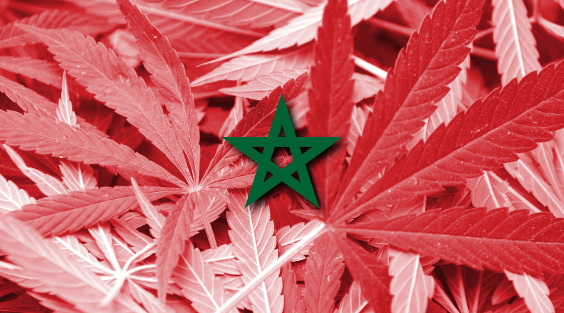 The legalization of Cannabis in Morocco