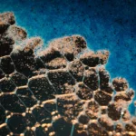 Data Management Services: Enhancing Business With Analytics Outsourcing