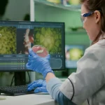 Bioinspired Innovation