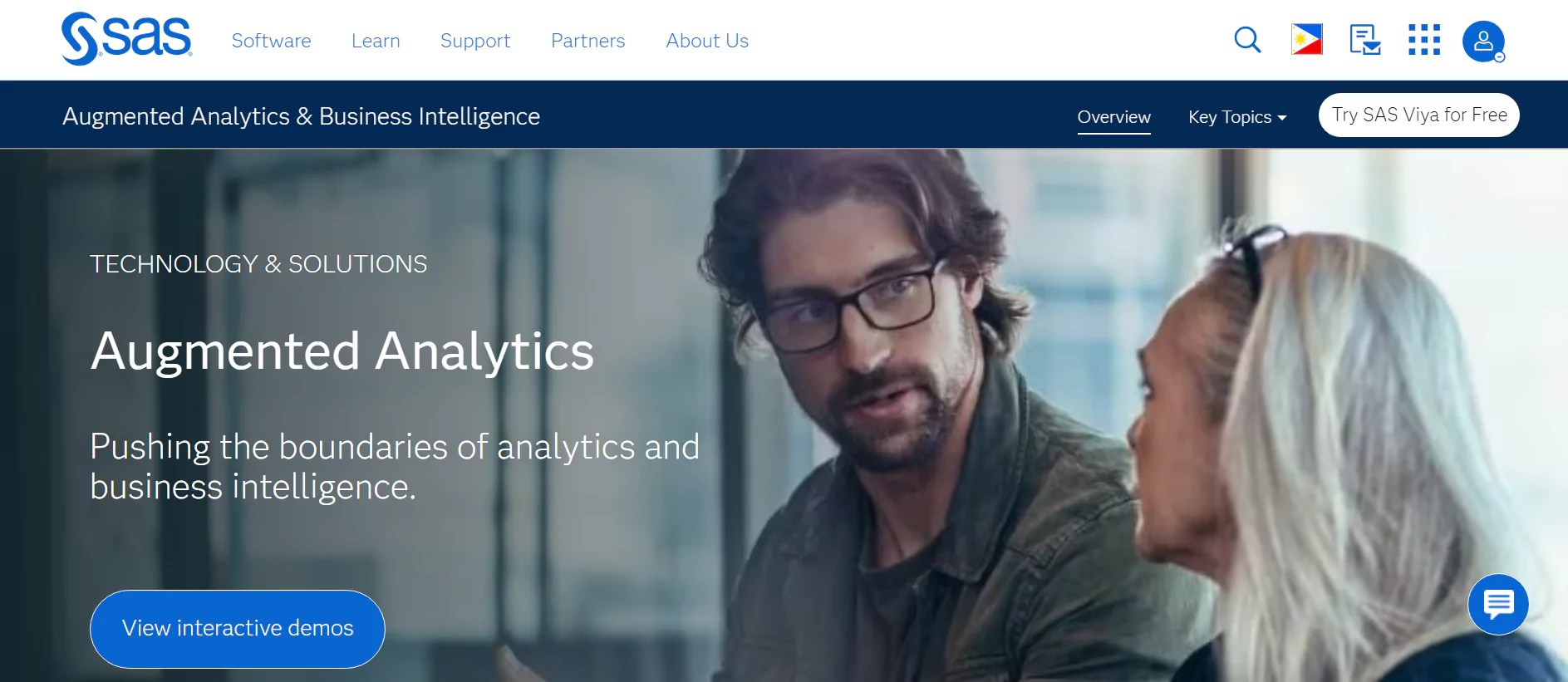 SAS Business Intelligence data analysis tools