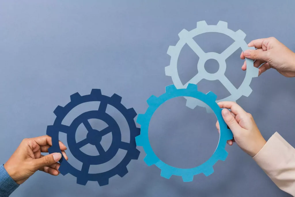The M&A Process and the Road to Integration: Insights You Need to Know