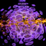 Stop AI Hallucinations: Detection, Prevention & Verification Guide 2025