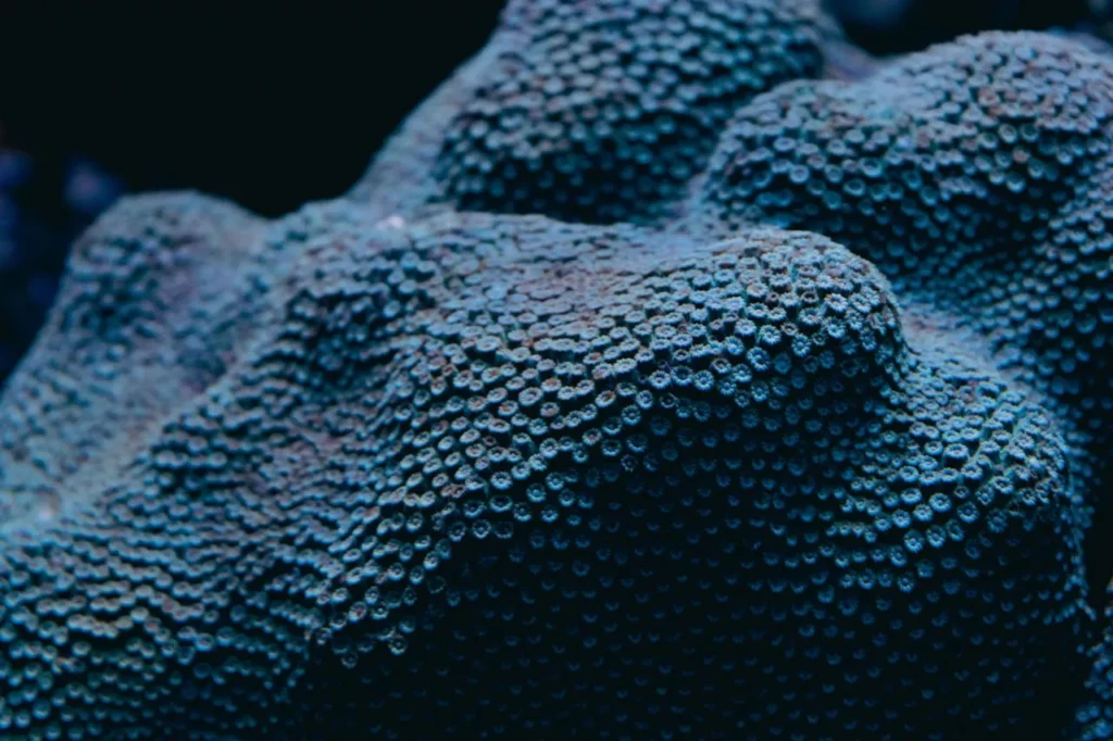 Is Web Scraping Legal? Laws, Compliance & Best Practices