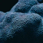 Is Web Scraping Legal? Laws, Compliance & Best Practices