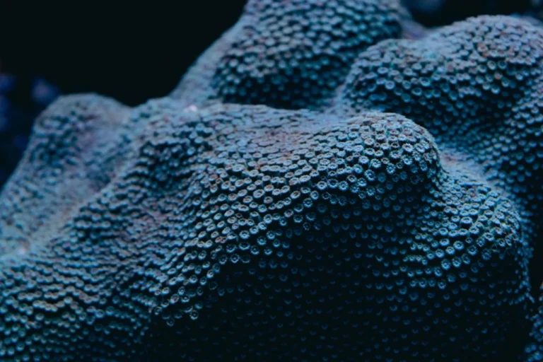 Is Web Scraping Legal? Laws, Compliance & Best Practices