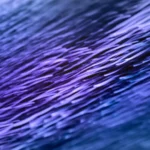 10 Proven Data Entry Tools and Software to Boost Efficiency