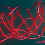 AI Literacy at Work: What Your People Need to Know and What the Law Now Expects